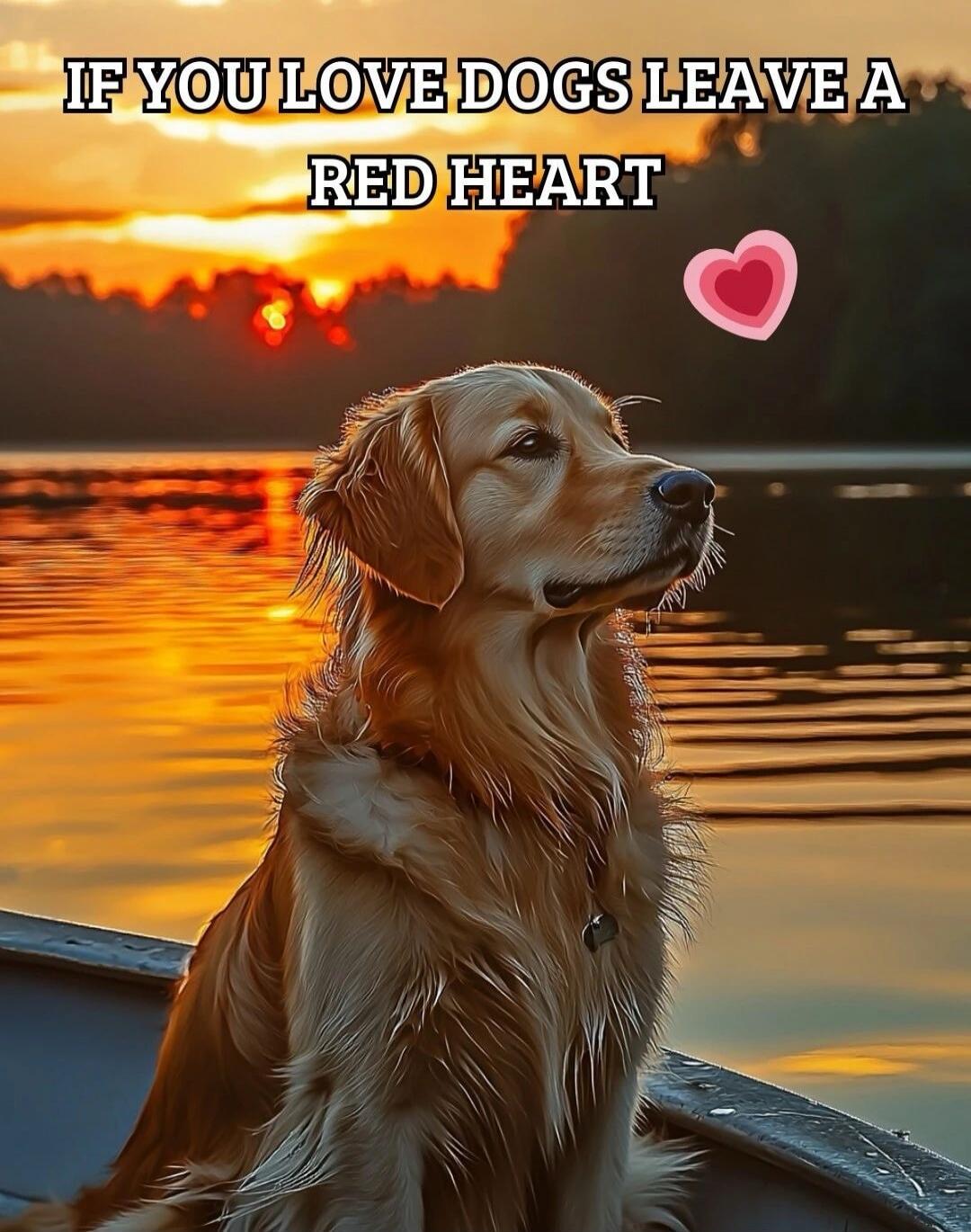 IF YOU LOVE DOGS LEAVE A RED HEART