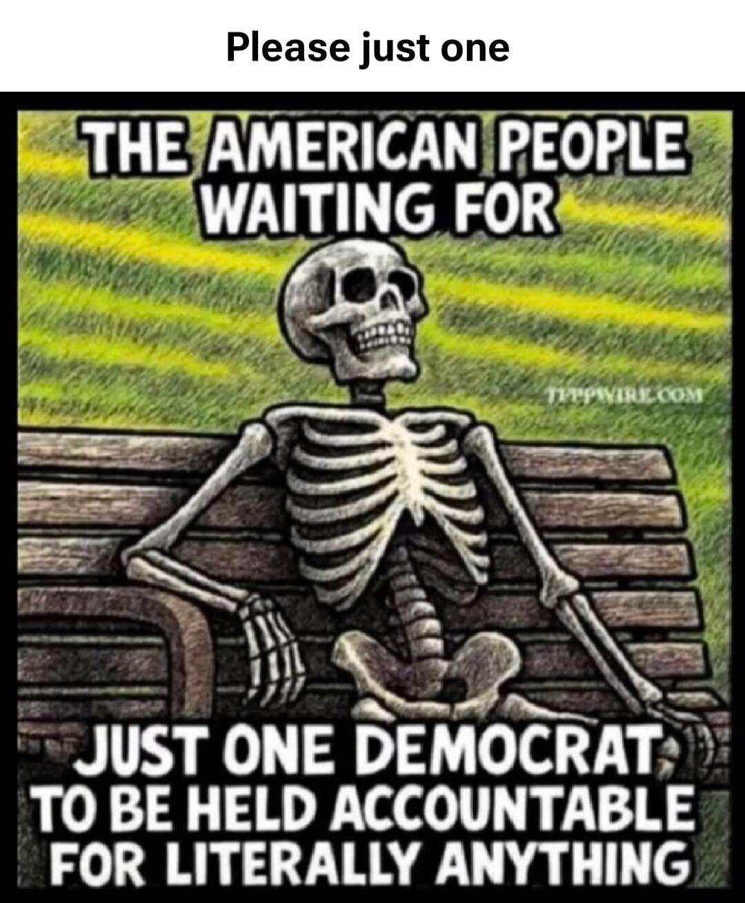 Please just one THE AMERICAN PEOPLE WAITING FOR JUST ONE DEMOCRAT TO BE HELD ACCOUNTABLE FOR LITERALLY ANYTHING TIPPWIRE.COM