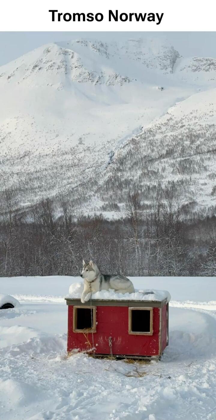 Tromso Norway