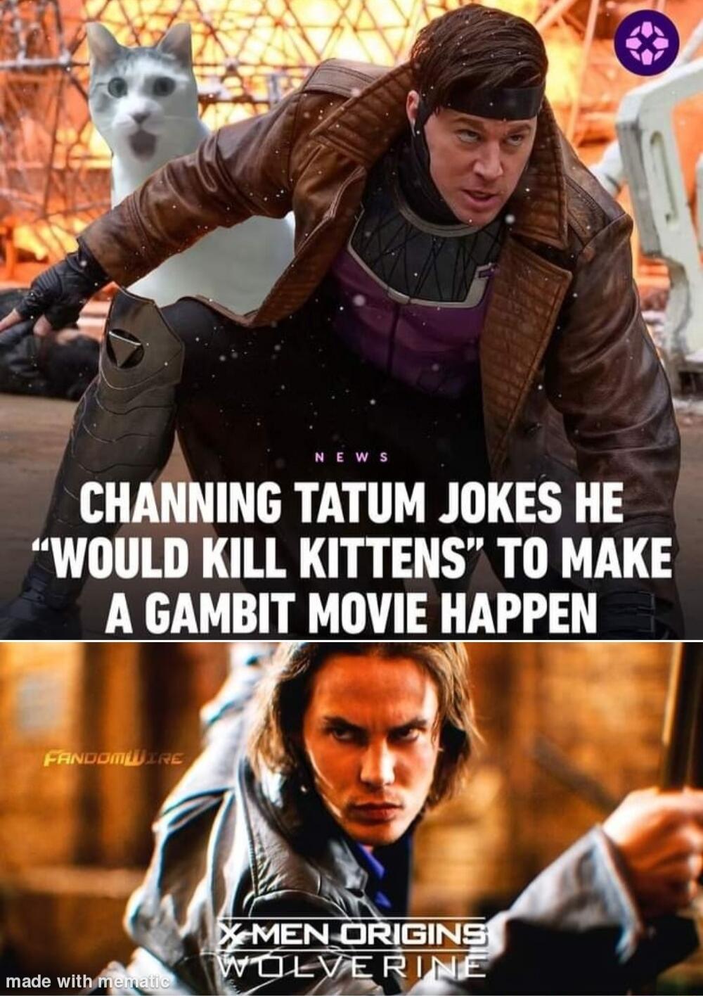 CHANNING TATUM JOKES HE WOULD KILL KITTENS TO MAKE A GAMBIT MOVIE HAPPEN made withyill