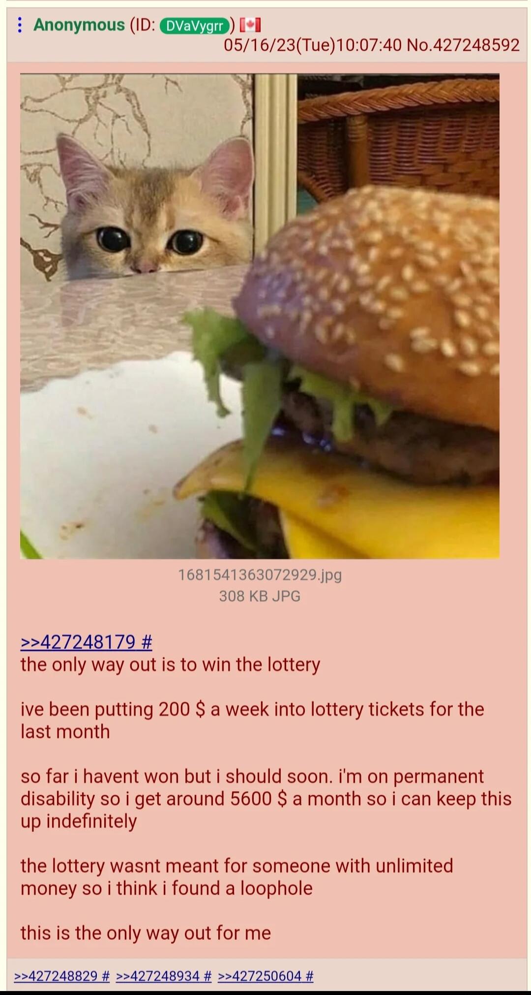Anonymous ID GERT Il 051623Tue100740 No427248592 1681541363072929 Jpg B PG 427248179 the only way out is to win the lottery ive been putting 200 a week into lottery tickets for the last month so far i havent won but i should soon im on permanent disability so i get around 5600 a month so i can keep this up indefinitely the lottery wasnt meant for someone with unlimited money so i think i found a l