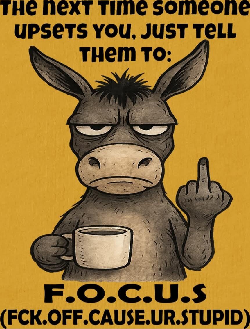 THE NEXT TIME SOMEONE UPSETS YOU, JUST TELL THEM TO: F.O.C.U.S (FCK.OFF.CAUSE.UR.STUPID)