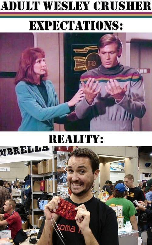 ADULT WESLEY CRUSHER EXPECTATIONS T