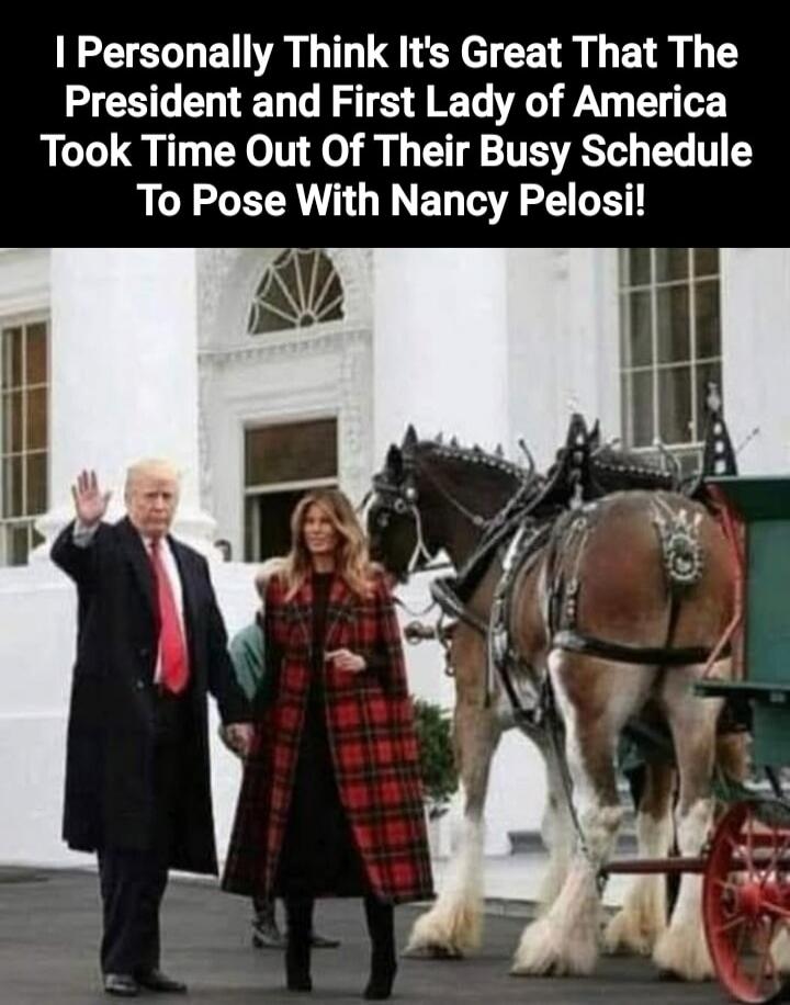I Personally Think It's Great That The President and First Lady of America Took Time Out Of Their Busy Schedule To Pose With Nancy Pelosi!