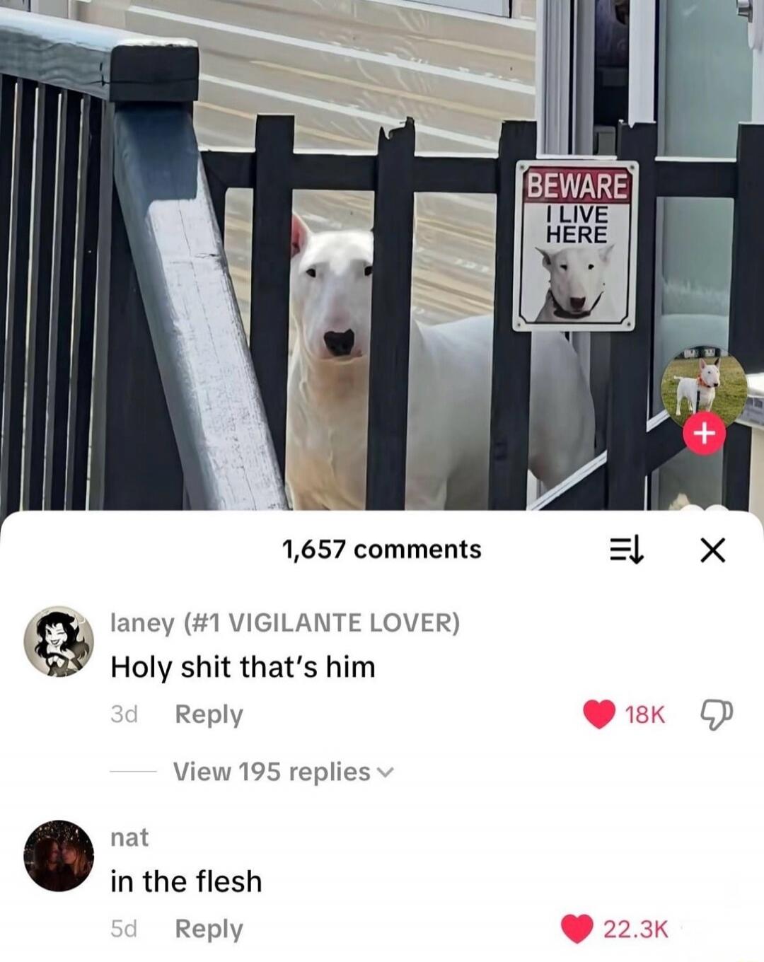 BEWARE LIVE HERE
Holy shit that's him
in the flesh