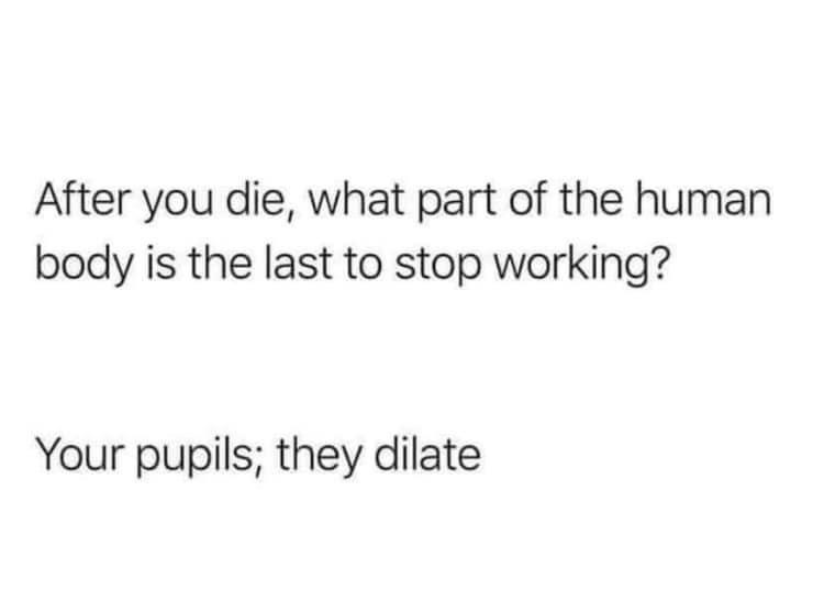 After you die what part of the human body is the last to stop working Your pupils they dilate