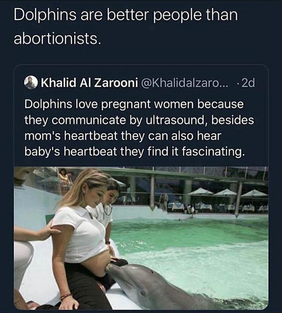 Dolphins are better people than ElelelgilelalSIEH Khalid Al Zarooni Khalidalzaro 2d Dolphins love pregnant women because they communicate by ultrasound besides moms heartbeat they can also hear baby SCERGERIRG AT RIS ERUNEL R