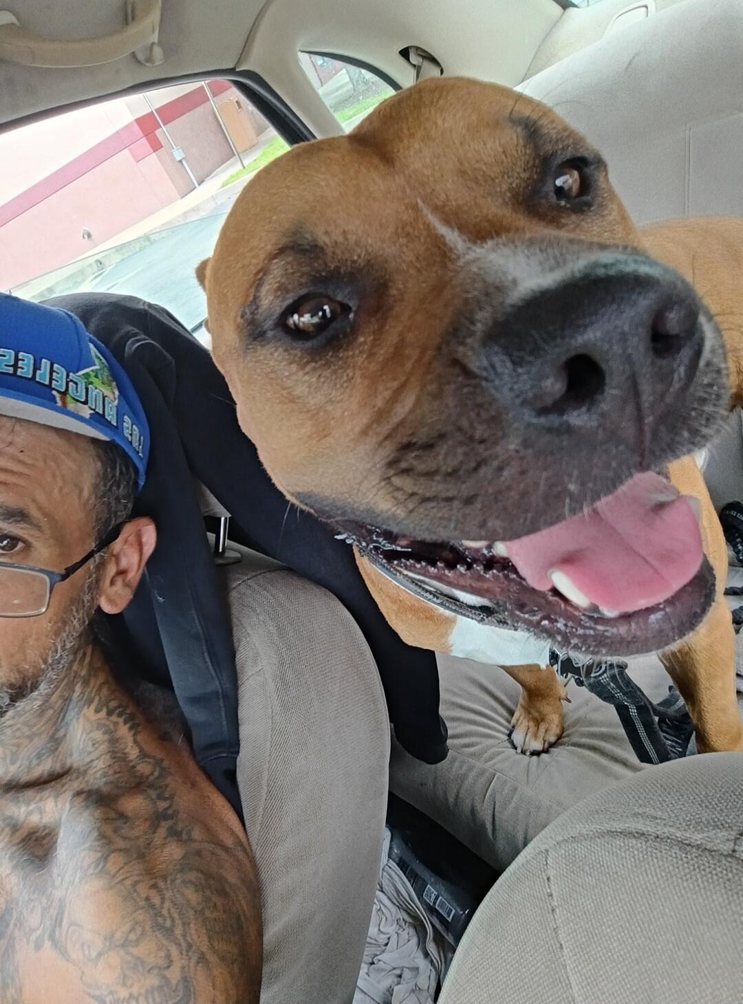 A man with a blue cap that says '23 BUCCANEERS' is in a car with a happy brown dog. The dog is close to the camera, mouth open and tongue out, looking excited. The man is shirtless and has many tattoos.
