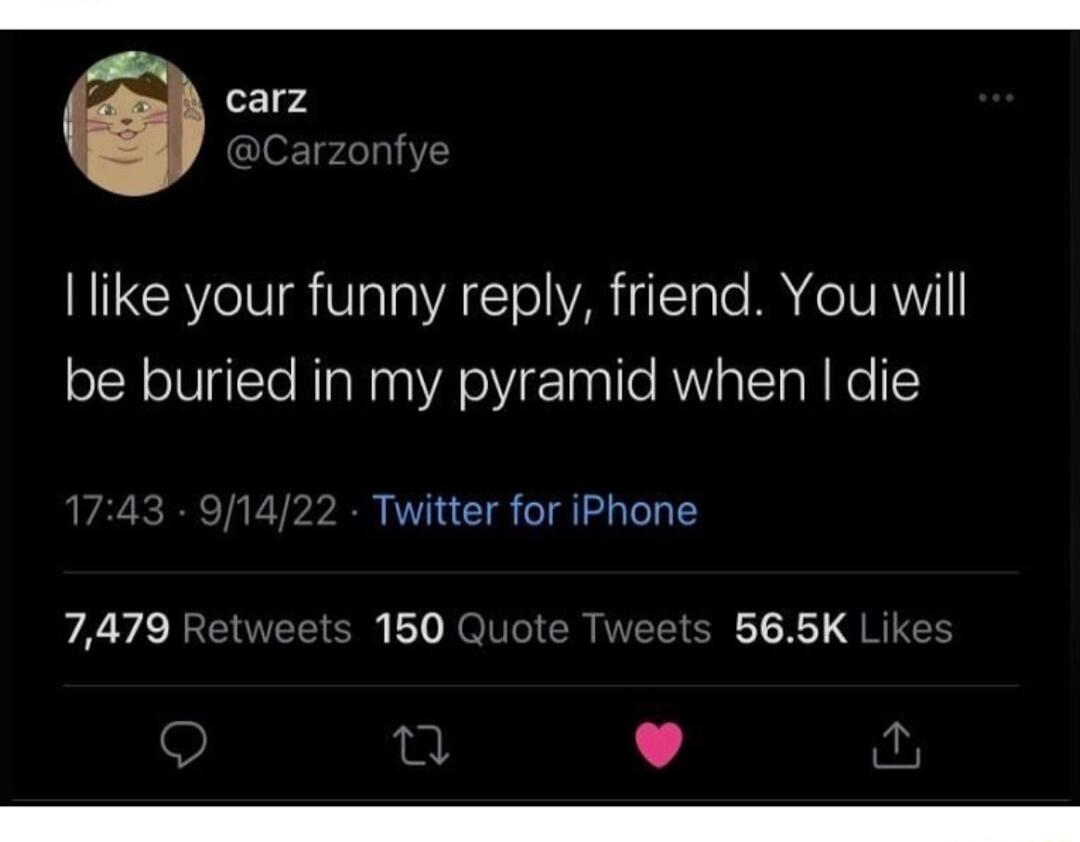 carz like your funny reply friend You will be buried in my pyramid when die Twitter for iPhone 7479 150 565K