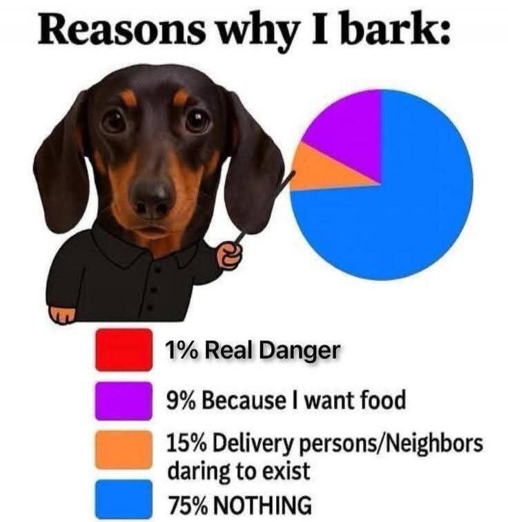 Reasons why I bark: 1% Real Danger, 9% Because I want food, 15% Delivery persons/Neighbors daring to exist, 75% NOTHING.