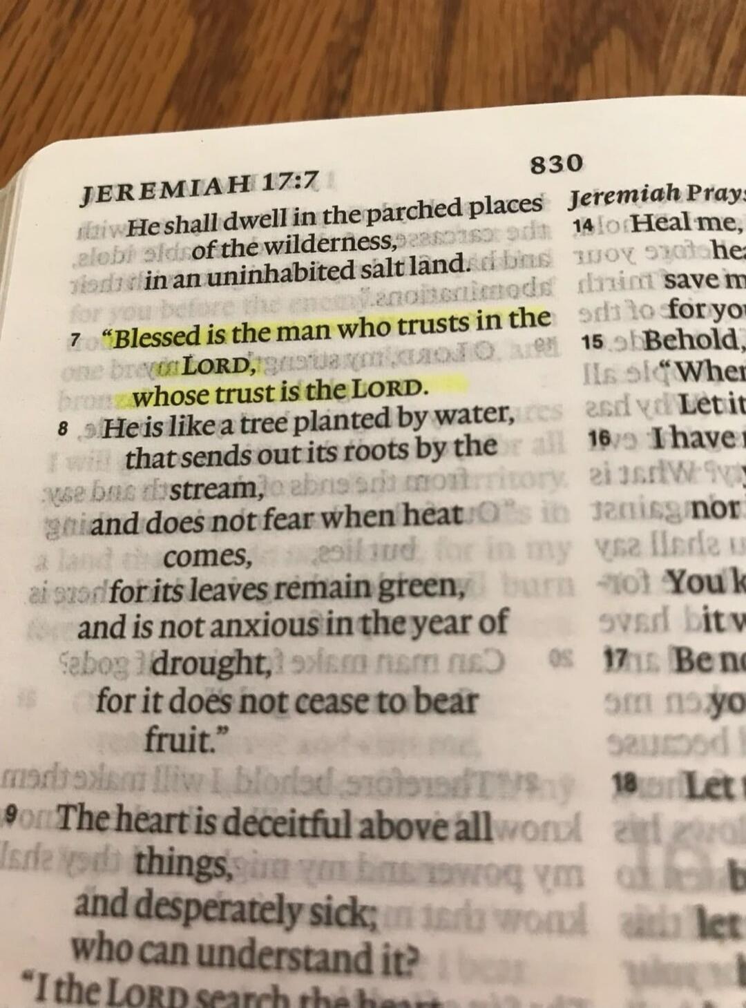 JEREMIAH 17:7-9
He shall dwell in the parched places of the wilderness, in an uninhabited salt land.
7 