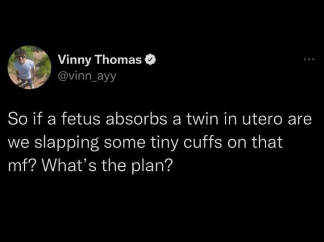 X GUVALTTIERY oo 1 1 So if a fetus absorbs a twin in utero are WERSETolollaf S el R VAUl i SNola R s E Y mf Whats the plan