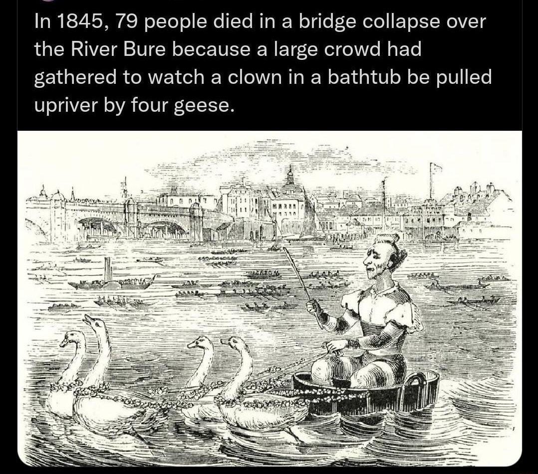 Fascinating fascinate 1d In 1845 79 people died in a bridge collapse over the River Bure because a large crowd had gathered to watch a clown in a bathtub be pulled upriver by four geese