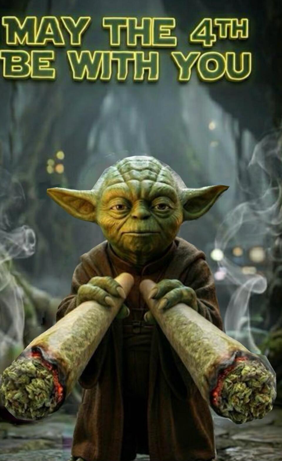 MAY THE 4TH BE WITH YOU