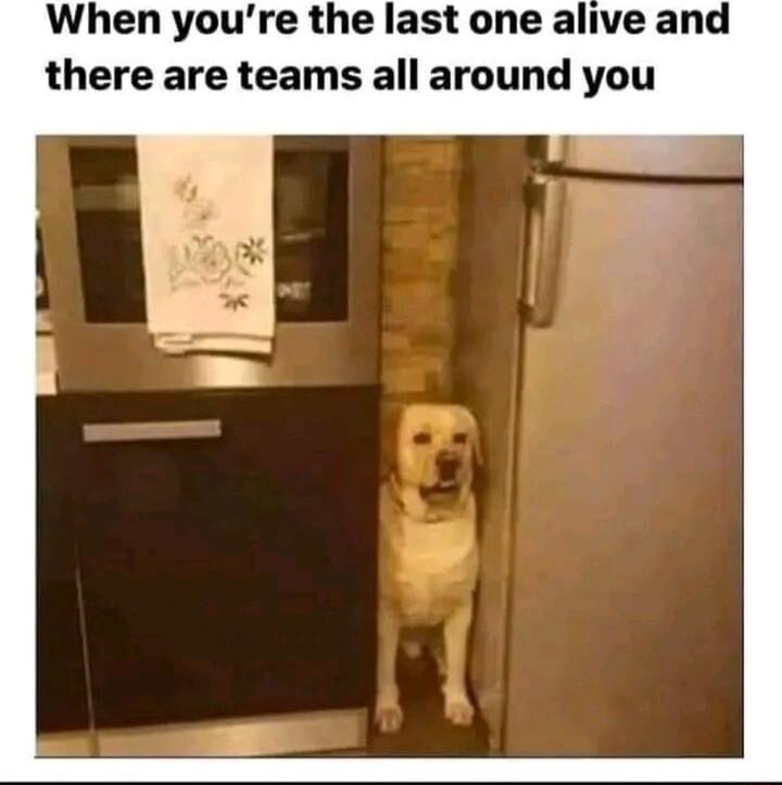 When youre the last one alive and there are teams all around you