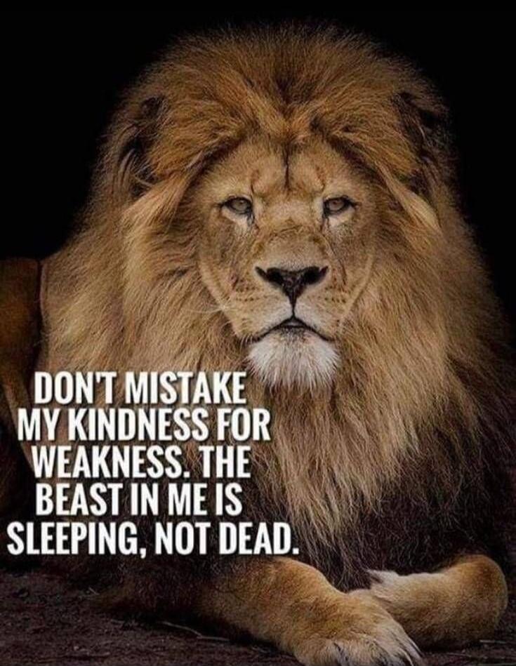 DON'T MISTAKE MY KINDNESS FOR WEAKNESS. THE BEAST IN ME IS SLEEPING, NOT DEAD.