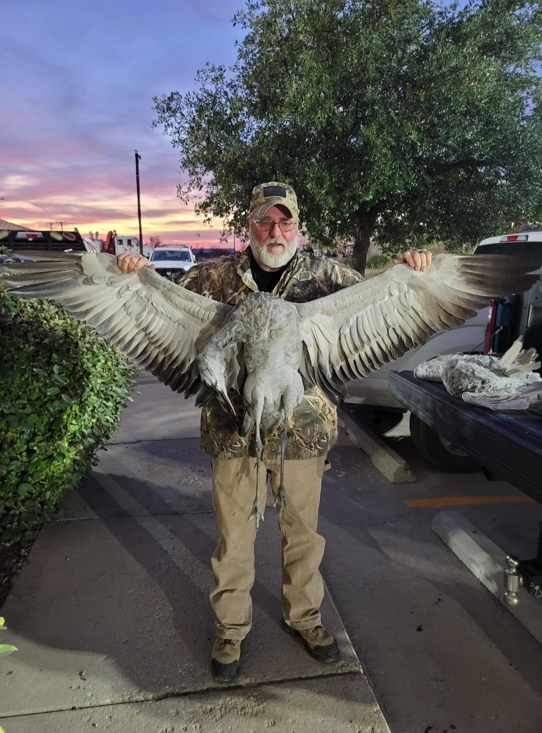 A man in camouflage attire proudly displays a large hunted bird, possibly a sandhill crane, with its wings spread wide. Another bird is visible in the bed of a pickup truck in the background. The scene takes place outdoors at dusk.