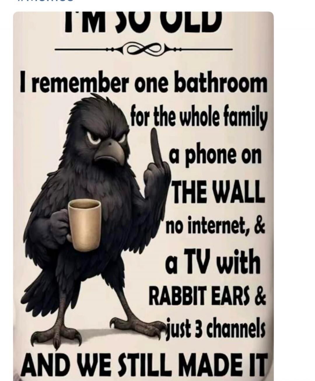I'M SO OLD I remember one bathroom for the whole family, a phone on THE WALL, no internet, & a TV with RABBIT EARS & just 3 channels AND WE STILL MADE IT