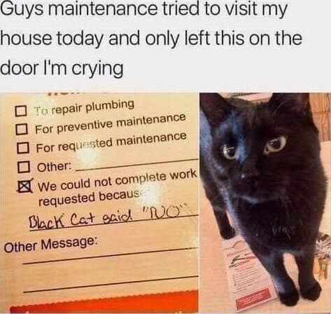 G 1 uys maintenance tried to visit my house toda y and only left thi door Im crying thisentte O o repair plumbing O For preventive maintenance For requested maintenance O Other __ IR We could not cor raquesled becaus Other Message