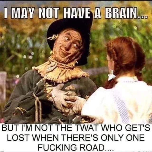 I MAYNOTHAVESAIBRAIN i s BUT M NOT THE TWAT WHO GETS LOST WHEN THERES ONLY ONE FUCKING ROAD