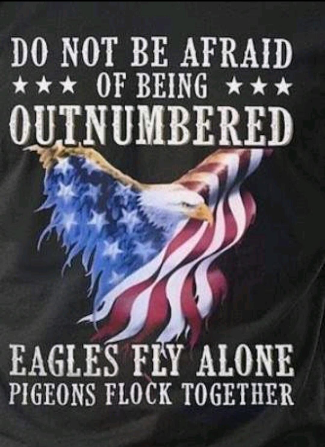 DO NOT BE AFRAID OF BEING OUTNUMBERED. EAGLES FLY ALONE PIGEONS FLOCK TOGETHER.
