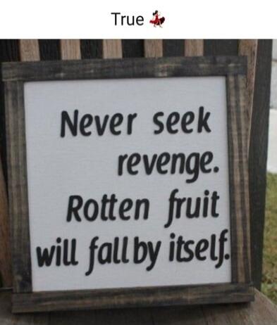 Never seek revenge. Rotten fruit will fall by itself.