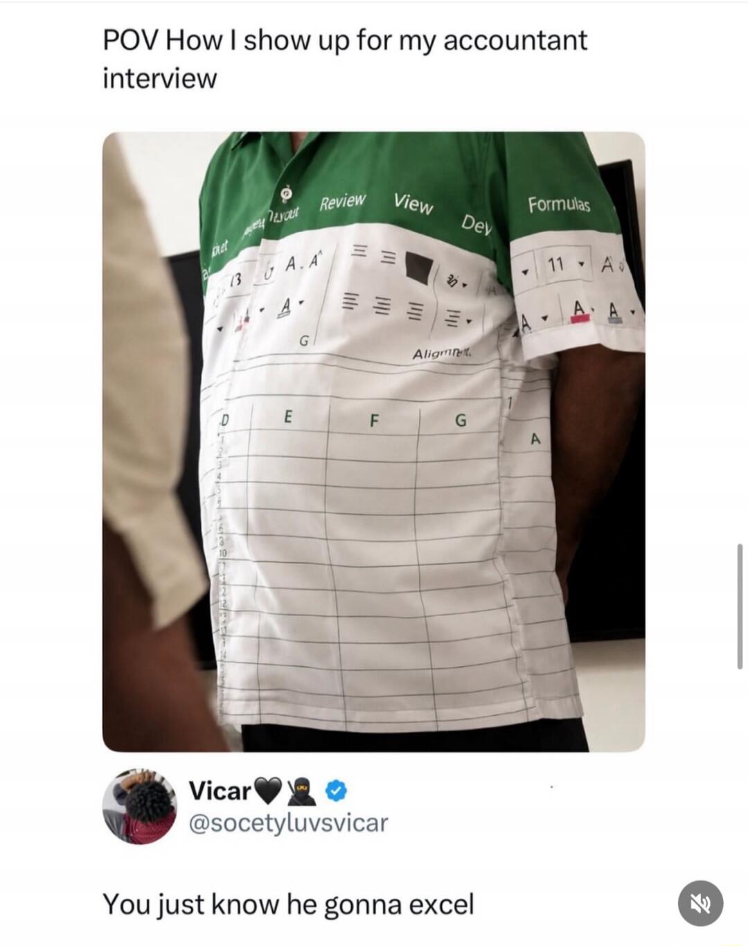 POV How I show up for my accountant interview Formulas Review View Dev Alignment D E F G A Vicar @socetyluvsvicar You just know he gonna excel