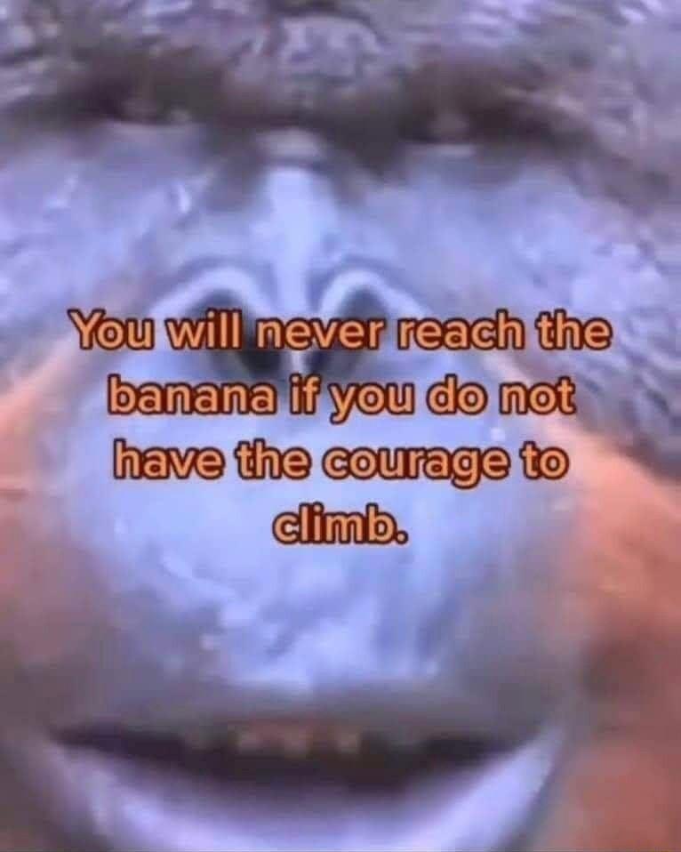 heve the courage to O