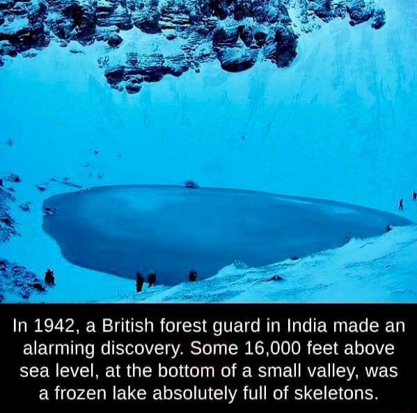 B e In 1942 a British forest guard in India made an EEURTI R VARSI R R VR CEE Y EEENCVEIRER G R G R R ERVEU SRR a frozen lake absolutely full of skeletons