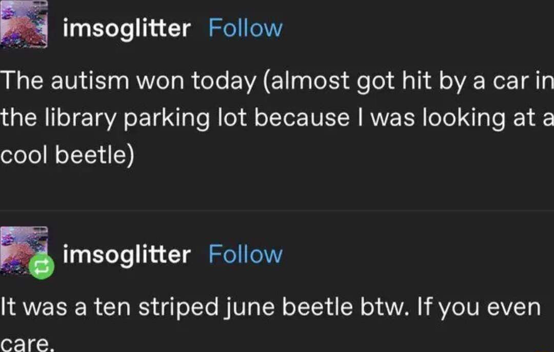 E msoglitter Follow The autism won today almost got hit by a car in the library parking lot because was looking at a cool beetle imsoglitter Follow It was a ten striped june beetle btw If you even care