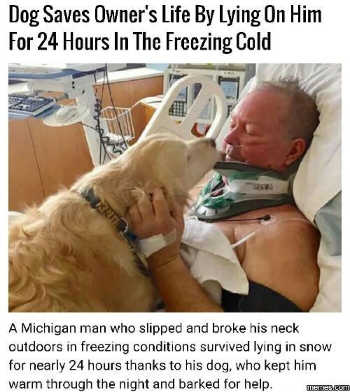 Dog Saves Owners Life By Lying On Him For 24 Hours In The Freezing Cold A Michigan man who slipped and broke his neck outdoors in freezing conditions survived lying in snow for nearly 24 hours thanks to his dog who kept him warm through the night and barked for help o