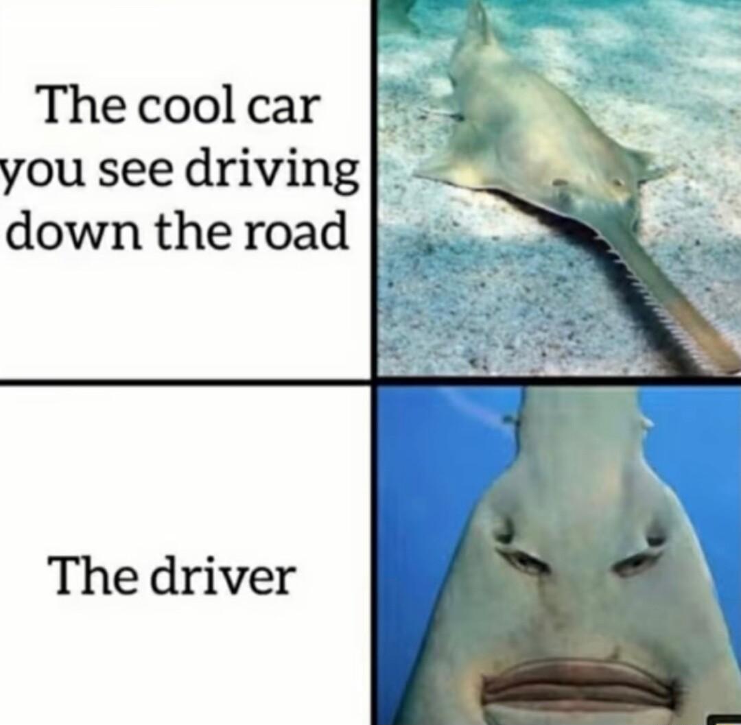 Thecoolcar you see driving i down theroad 4i