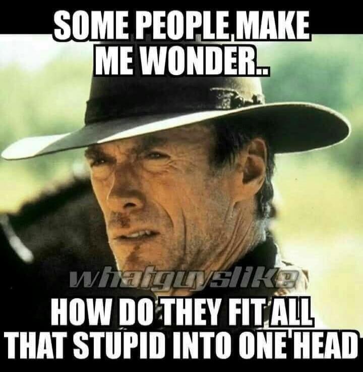 SOME PEOPLE MAKE ME WONDER... HOW DO THEY FIT ALL THAT STUPID INTO ONE HEAD