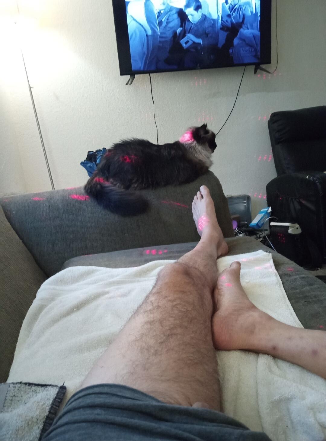 A person's legs are resting on a couch with a white towel. A cat is lying on the back of the couch, looking at a TV screen showing a black and white movie. Red laser dots are visible on the cat, couch, and legs, suggesting a laser pointer is being used.