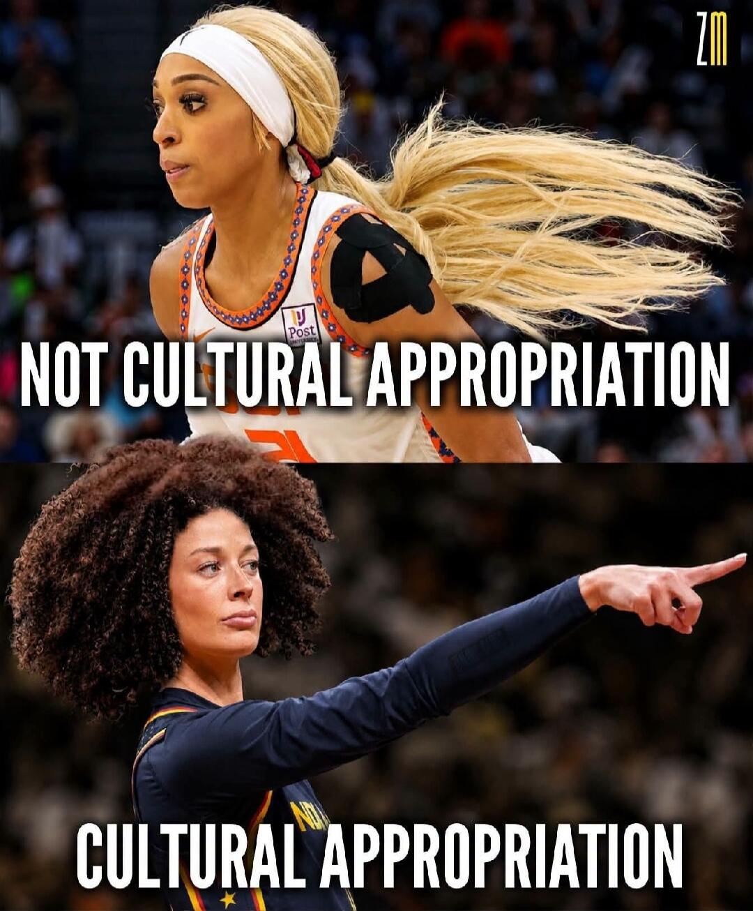 NOT CULTURAL APPROPRIATION CULTURAL APPROPRIATION