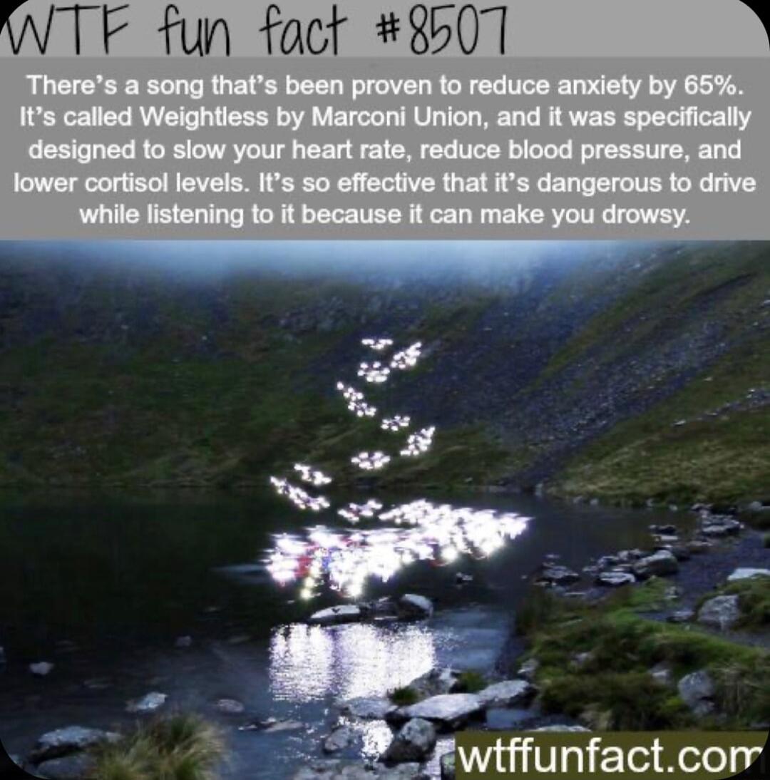 F fun fact 8507 e kY