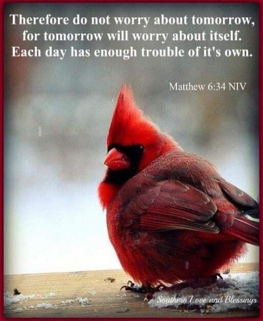 Therefore do not worry about tomorrow, for tomorrow will worry about itself. Each day has enough trouble of it's own. Matthew 6:34 NIV