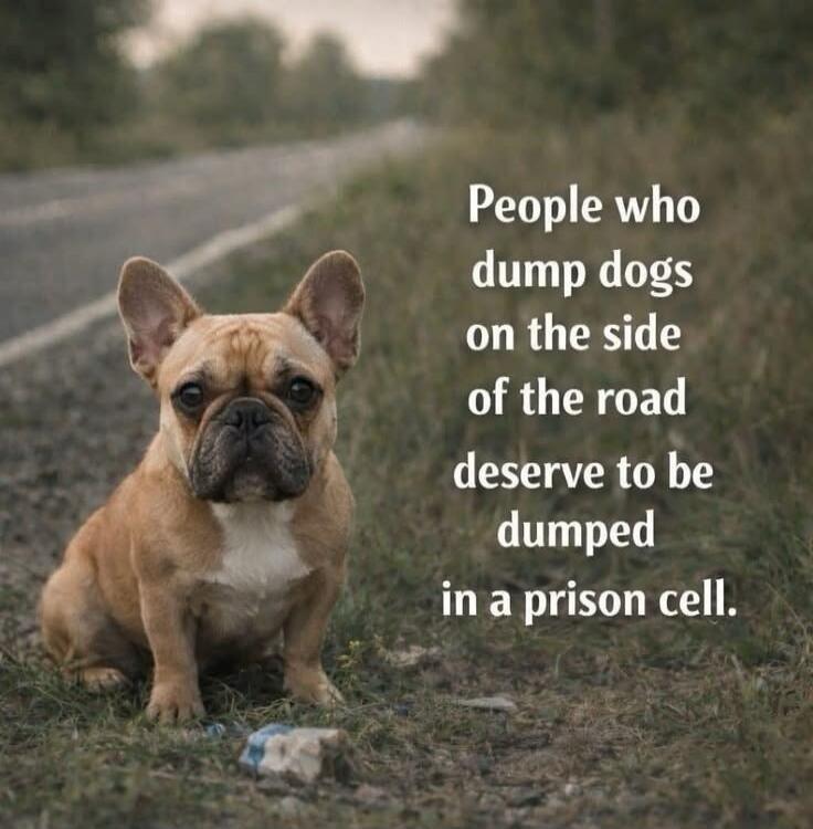 People who dump dogs on the side of the road deserve to be dumped in a prison cell.