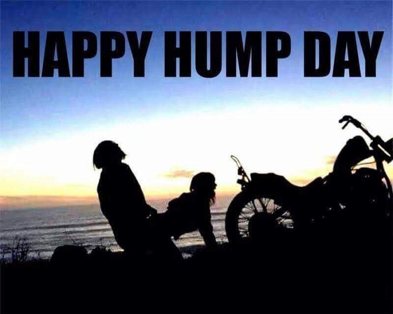 HAPPY HUMP DAY
