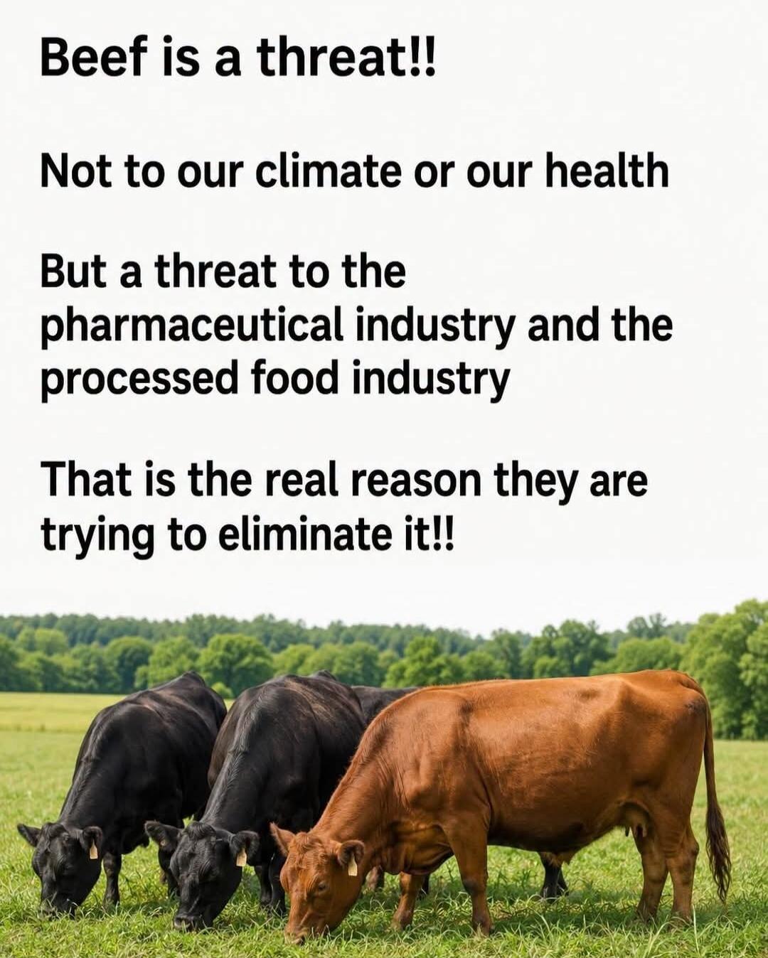 Beef is a threat!! Not to our climate or our health But a threat to the pharmaceutical industry and the processed food industry That is the real reason they are trying to eliminate it!!