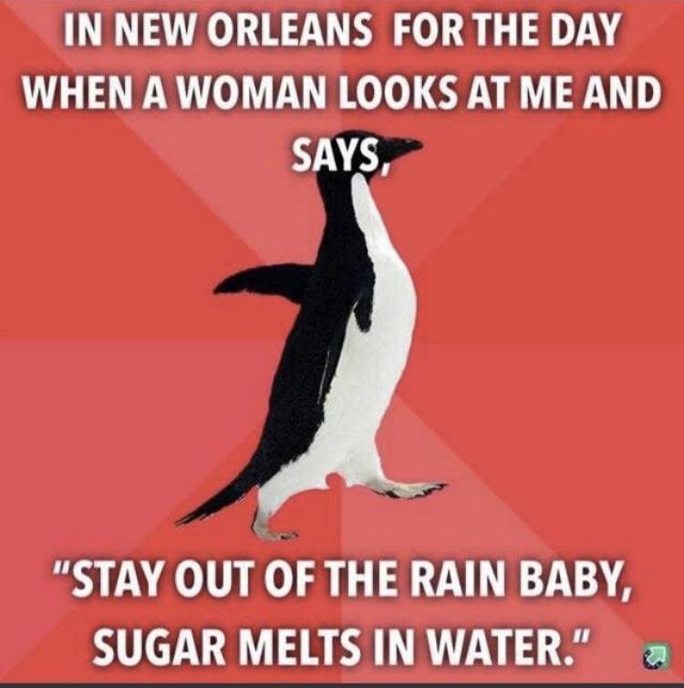 IN NEW ORLEANS FOR THE DAY WHEN A WOMAN LOOKS AT ME AND STAY OUT OF THE RAIN BABY SUGAR MELTS IN WATER