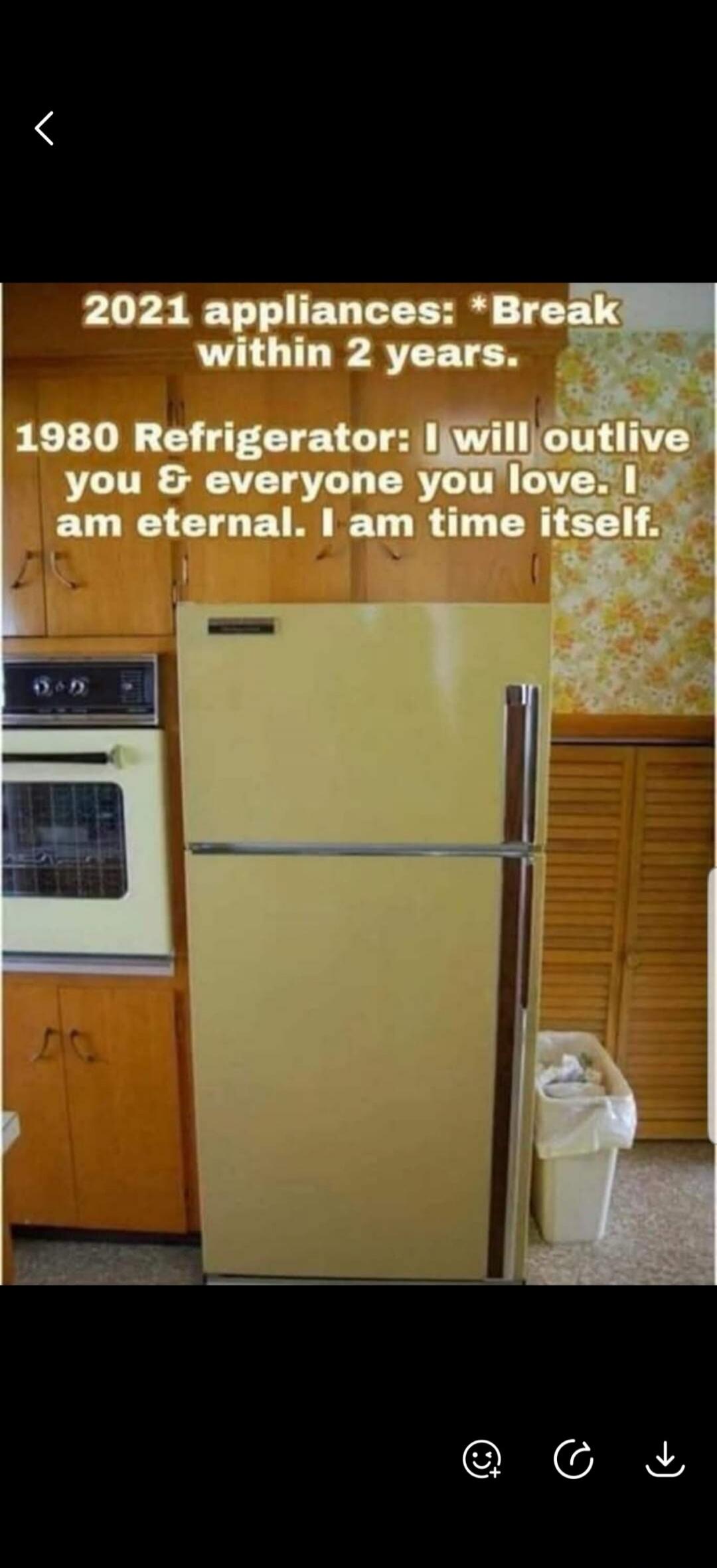 2021 appliances: *Break within 2 years. 1980 Refrigerator: I will outlive you & everyone you love. I am eternal. I am time itself.