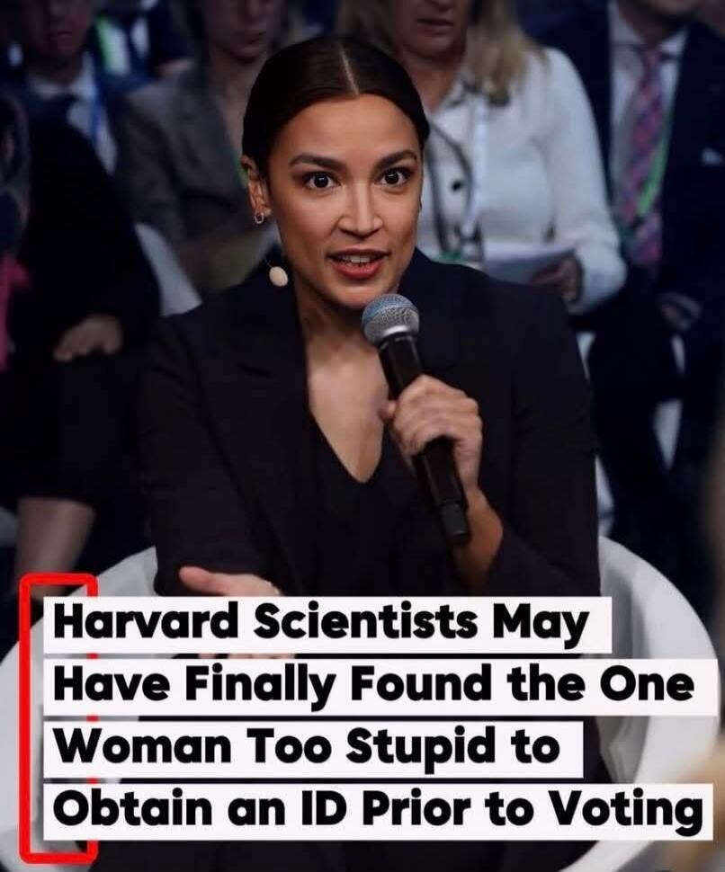 Harvard Scientists May Have Finally Found the One Woman Too Stupid to Obtain an ID Prior to Voting