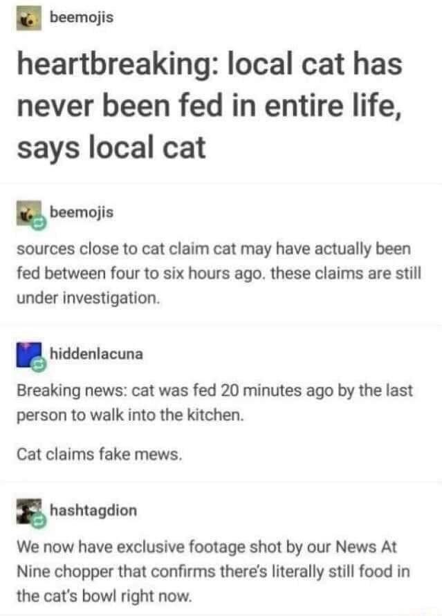 beemojis heartbreaking local cat has never been fed in entire life says local cat beemojis sources close to cat claim cat may have actually been fed between four to six hours ago these claims are still under investigation hiddenlacuna Breaking news cat was fed 20 minutes ago by the last person to walk into the kitchen Cat claims fake mews s hashtagdion We now have exclusive footage shot by our New