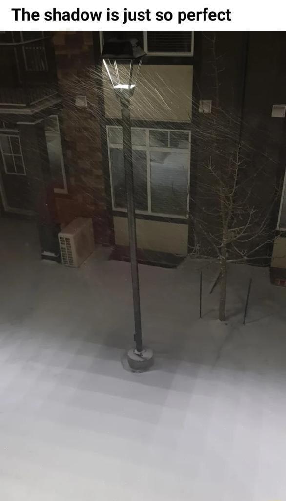 The shadow is just so perfect