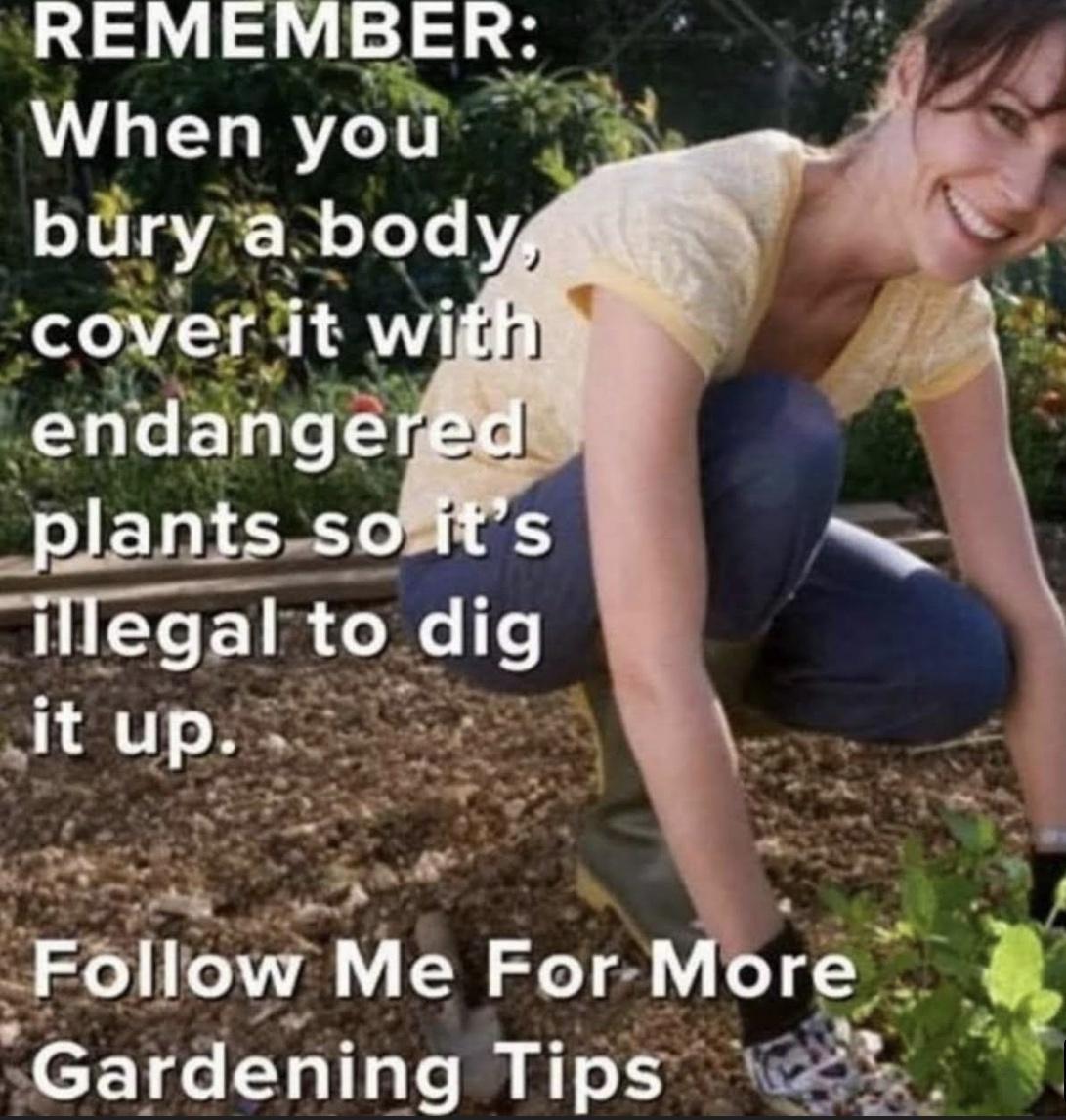 REMEMBER_ When you bdrya body Fllbw M ForMbra J X Gardening Tips