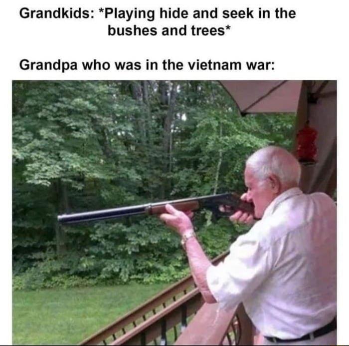 Grandkids Playing hide and seek in the bushes and trees Grandpa who was in the vietham war