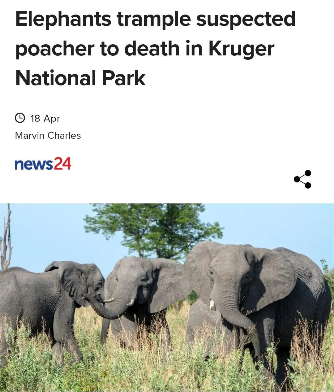 Elephants trample suspected poacher to death in Kruger National Park 18 Apr Marvin Charles news24