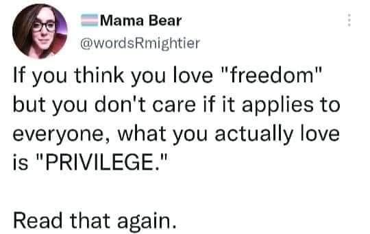 Mama Bear wordsRmightier If you think you love freedom but you dont care if it applies to everyone what you actually love is PRIVILEGE Read that again