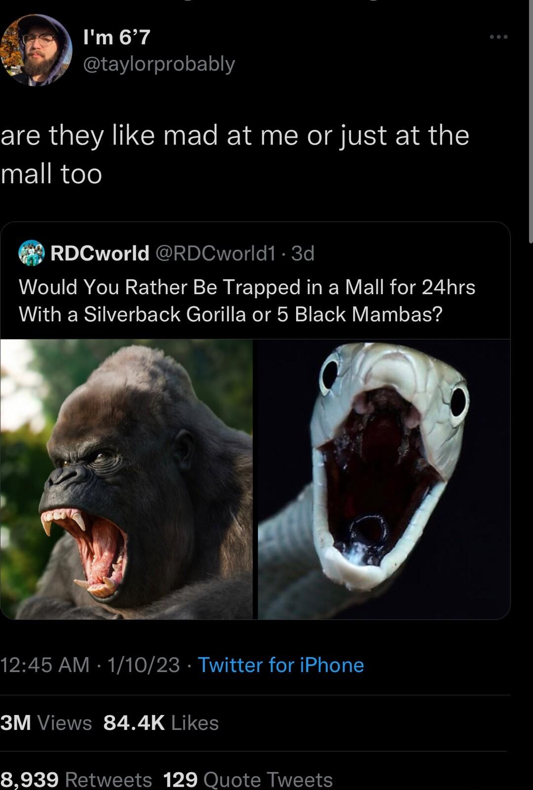 Im67 taylorprobably are they like mad at me or just at the NELRTeN RDCworld RDCworld1 3d Would You Rather Be Trapped in a Mall for 24hrs With a Silverback Gorilla or 5 Black Mambas 1245 AM 11023 Twitter for iPhone V RUEINER 7 1 QRIEH 8939 Retweets 129 Quote Tweets